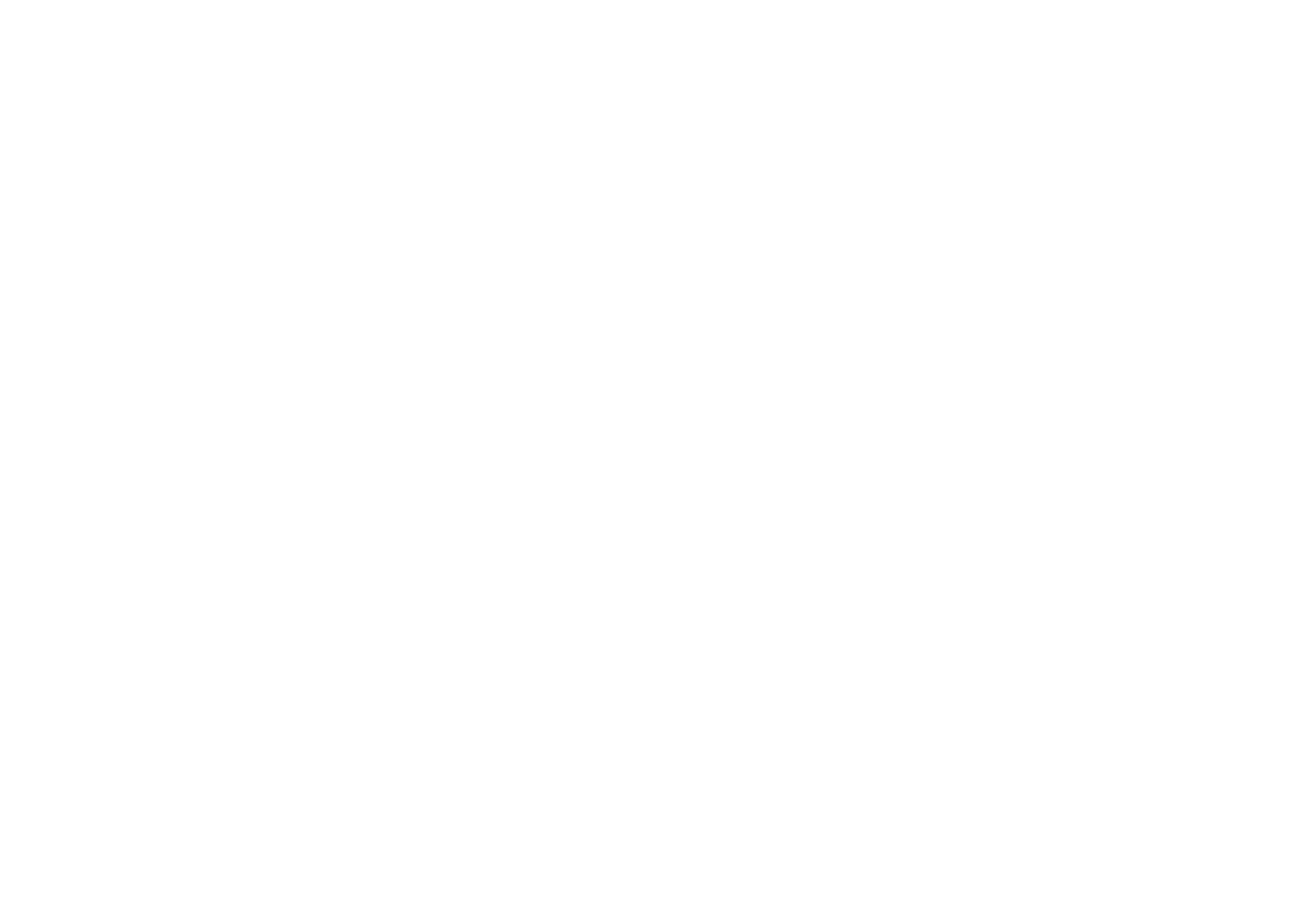Young Rider New Arrivals